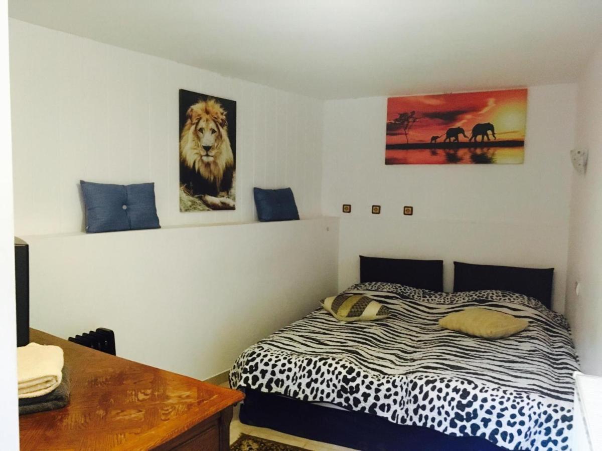 Rolling Stone Hostel Braşov Buitenkant foto