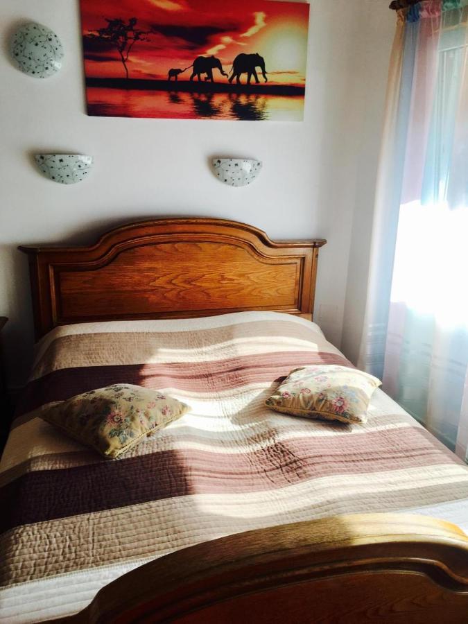 Rolling Stone Hostel Braşov Buitenkant foto