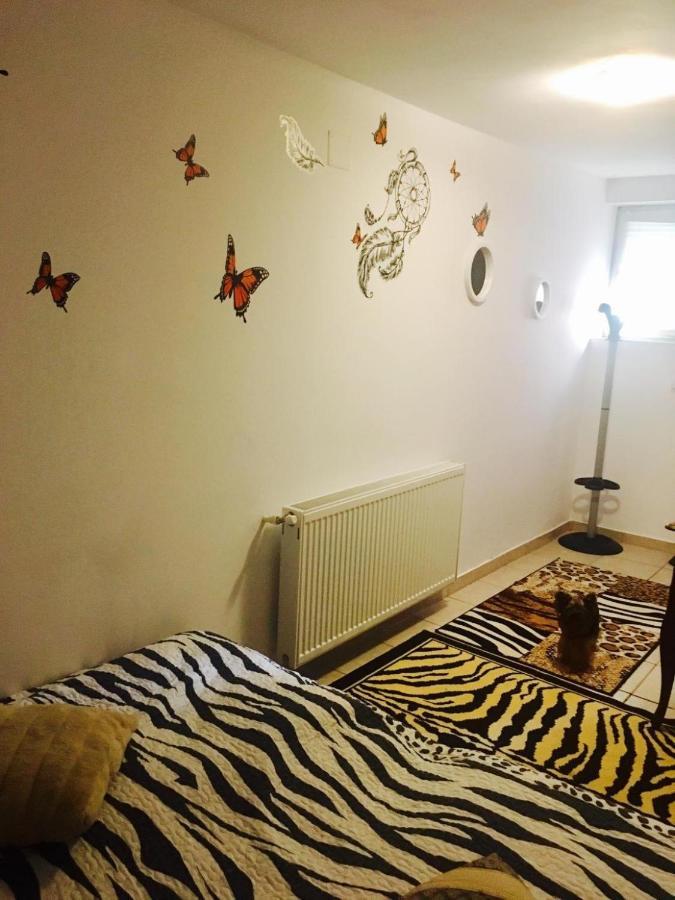 Rolling Stone Hostel Braşov Buitenkant foto